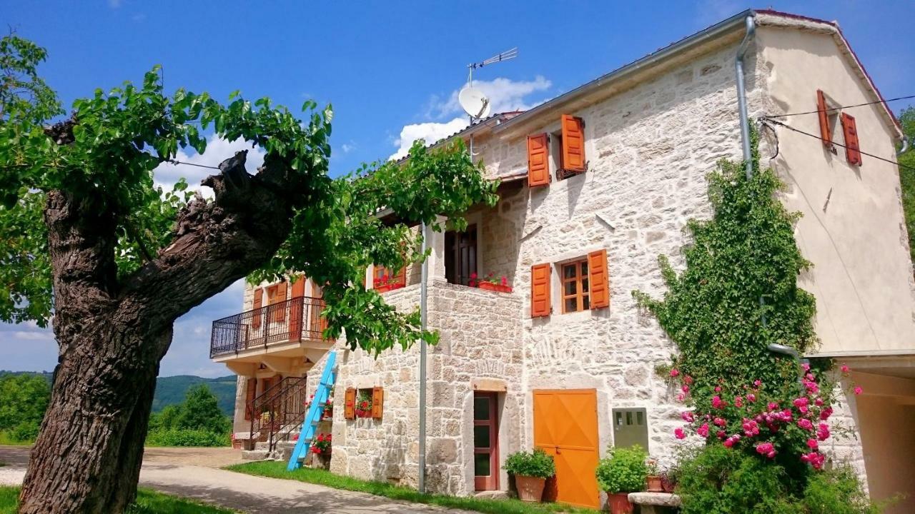 Villa Angela E Giovanni Vižinada Extérieur photo